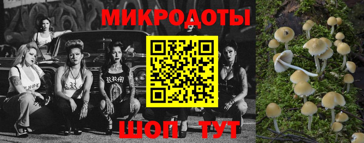 Псилоцибиновые грибы GOLDEN TEACHER  где можно купить наркотик  Избербаш  Вход с VPN 